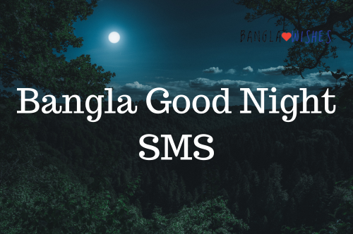 Bangla good night SMS