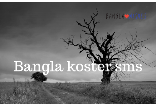 Bangla koster sms