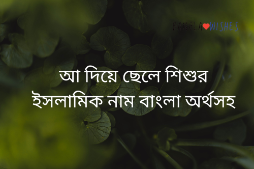 আ দিয়ে ছেলে শিশুর ইসলামিক নাম বাংলা অর্থসহ