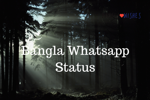 Bangla Whatsapp Status