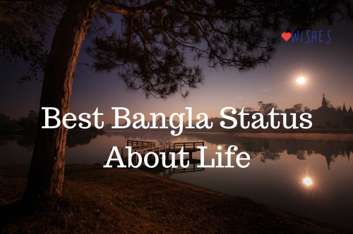 Best Bangla Status About Life