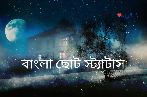 বাংলা ছোট স্ট্যাটাস