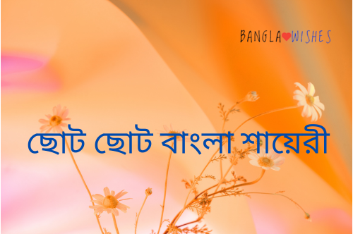 ছোট ছোট বাংলা শায়েরী