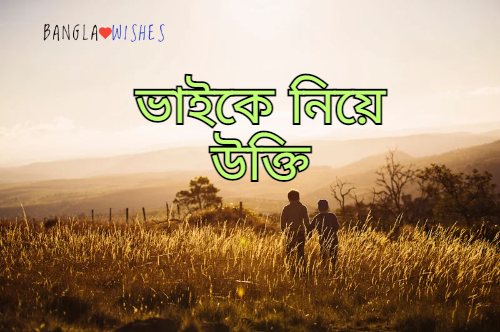 ভাইকে নিয়ে উক্তি