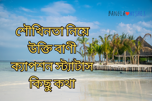 শৌখিনতা নিয়ে উক্তি বাণী ক্যাপশন স্ট্যাটাস কিছু কথা